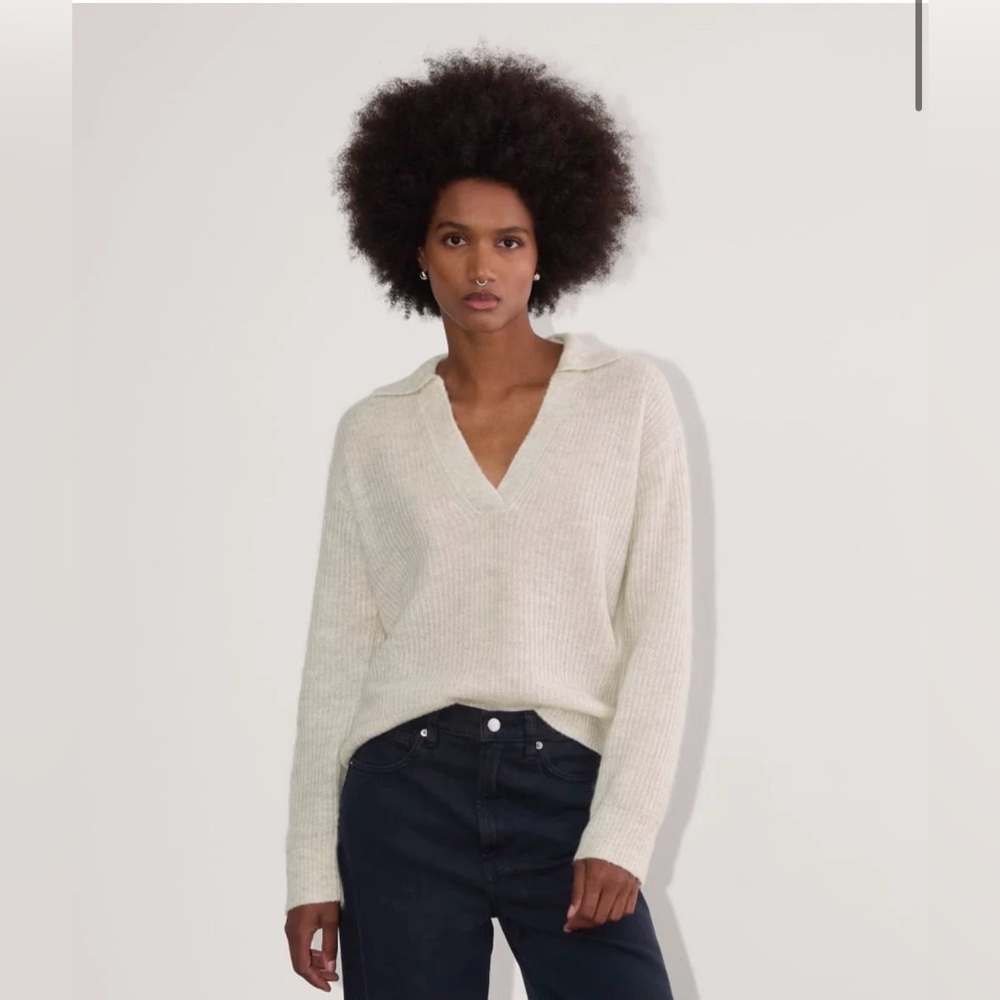 Everlane The Oversized Polo in Alpaca